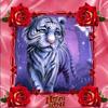 ritabode785 - @ritabode785 - TikTok