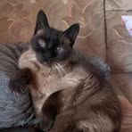 Rita Boehm - Facebook