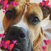 Rita Borders - Facebook