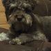 Rita Boswell - Facebook
