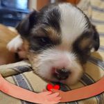 Rita Marie Boucher - @4bizz101 - Instagram