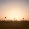 Rita Boykin - @rita.boykin - TikTok
