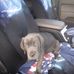 Rita Brandon - Facebook