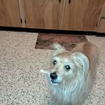 Rita Sun Branson - @rita.branson - Instagram