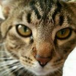 Rita Smallridge Braswell - @rita_braswell - Instagram