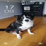 Rita Breen - @breen.rita - Instagram