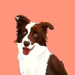 Rita Bright - @ritalaperritacollie - Instagram