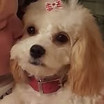 Rita Broderick - @broderickrita - Instagram