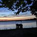 Rita Buchanan - Facebook