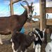 Rita Busch - Facebook