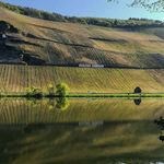 Rita Busch - @gebranntemauer - Instagram