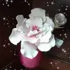 Rita Cappella - @ritacappella3 - TikTok