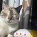 Rita Carr - Facebook