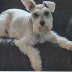 Rita Carson Denzin - @ritadenzin - Instagram