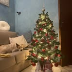 Rita Castagna - Facebook