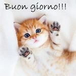 Rita Cecchetti - @rita.cecchetti - Instagram