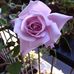 Rita Cecchetti - Facebook