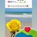 Rita Chiappetta - Facebook