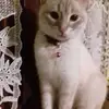 Rita Chiesa401 - @ritachiesa401 - TikTok