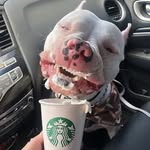 Rita Clarkson - @ria.trees - Instagram