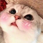 gana el3nany - @rita._.cloud._.cute - Instagram