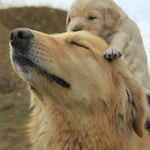 Rita Cloutier - @rita.cloutier.54 - Instagram