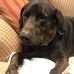 Rita Coffman - Facebook