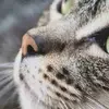 Sherita Coffman - @sherita.coffman - TikTok