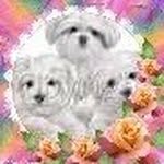 Rita Conrad Clark - @clark3379664 - Instagram