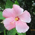Rita Corey - @sparkymom56 - Instagram
