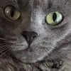 ritascorey - @ritascorey - TikTok