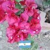 ritacorrea - @ritacorrea - TikTok