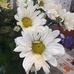 Rita Corriveau - Facebook