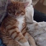 Rita Cottrell - @cottrell.rita - Instagram
