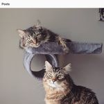 Rita Cottrell-Smith - @makino483 - Instagram