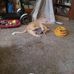 Rita Crockett - Facebook
