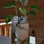 Rita Reitzel Crouse - @reitzelcrouse - Instagram