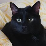 Rita Crowe - @2yankeefan10 - Instagram