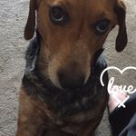 Rita Cummings - @7candi7 - Instagram