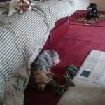 Rita Cunningham - @rita.cunningham.39395 - Instagram