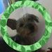 Rita Curran - Facebook