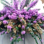 Rita D'elia - @rita.delia.0 - Instagram