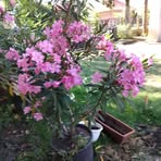 Rita Demeter - Facebook