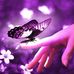 Rita Dickens - Facebook