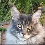 Rita Doering - @picaso.doering - Instagram