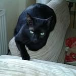 Rita Dore - @dorerita1958 - Instagram