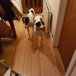 Rita & Doris - @ritadoris5757 - Instagram