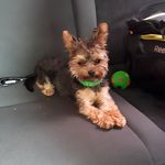 Rita Doris - @soy_riti - Instagram