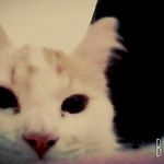 Rita Doris Clementina - @rita.doris.colivoro - Instagram