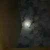 Rita Dotson - @rita.dotson - TikTok